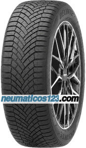 Delinte AW7