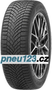 Delinte AW7