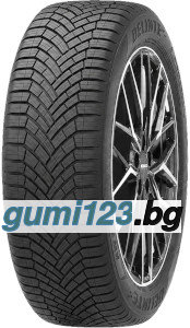Delinte AW7