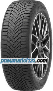 Delinte AW7