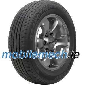 Dunlop Grandtrek PT30