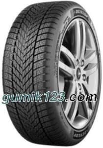 Dunlop Winter