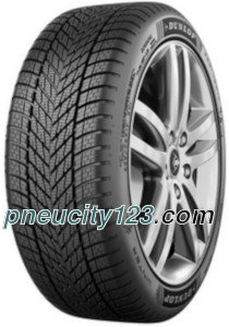 Dunlop Winter