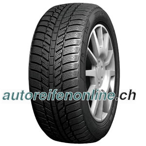 Evergreen EW62