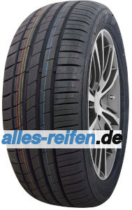 Everton&nbsp;Orrix H/P