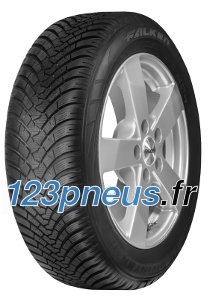 Falken EUROWINTER HS01 RUNFLAT ( 205/55 R16 91H, runflat )