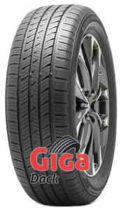 Falken ZIEX CT60 A/S