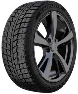 Federal&nbsp;Himalaya WS1