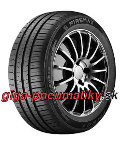 Obrázok Firemax FM601 ( 245/45 R19 102W XL )