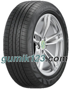 Fortune FSR-802