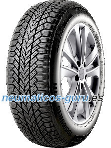 Giti Winter W1
