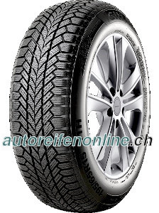 Giti Winter W1