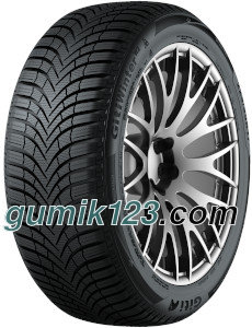 Giti Winter W2