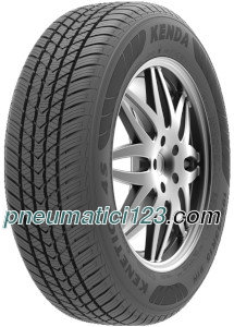 Kenda KR202