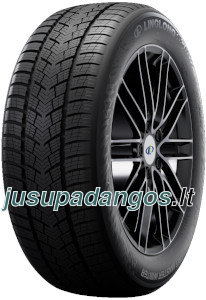 Linglong Sport Master Winter