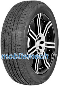 Massimo Stella S2