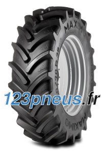 Maximo Radial 70 ( 380/70 R24 125A8 TL )