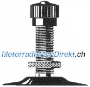 Maxxis TR6
