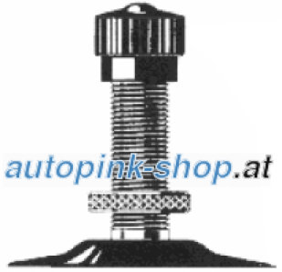 Maxxis TR6
