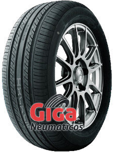 Nereus Neoplus NS317