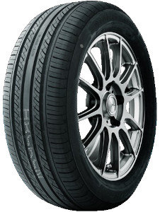 Nereus Neoplus NS317