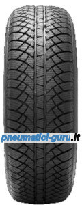 Novex WIN 5