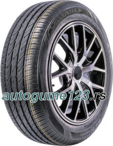 Paxaro Eco Dynamic