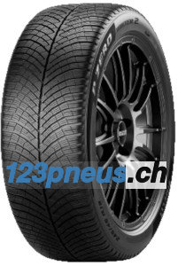 Pirelli P Zero Winter D ( 315/35 R20 110V XL, ND0 )