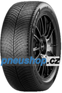 Pirelli P Zero Winter D