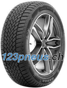 Pneu Hiver EGOMMERCE N810 205/55 R16 91H - Pneu Thermique Alpin Avec Certification 3PMSF, Faible Consommation, Garantie 2 Ans