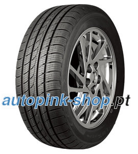 Road King Ice-Plus S220