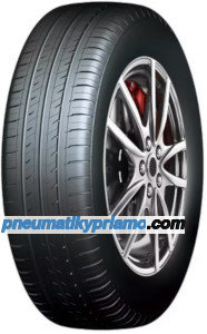Roadcruza Sports V1