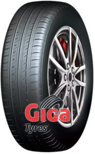 Roadcruza Sports V1