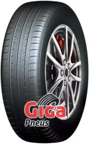 Roadcruza Sports V1