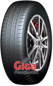 Roadcruza Sports V1