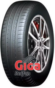 Roadcruza Sports V1
