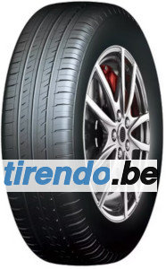Roadcruza Sports V1