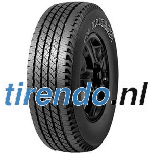 Roadstone Roadian HT