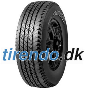 Roadstone Roadian HT