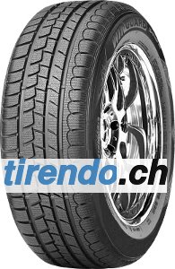 Roadstone WINGUARD SNOW G