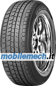 Roadstone WINGUARD SNOW G