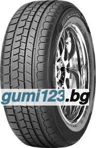 Roadstone WINGUARD SNOW G