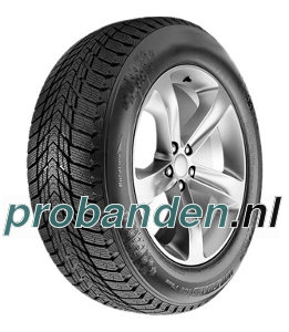 Roadstone Winguard Ice Plus
