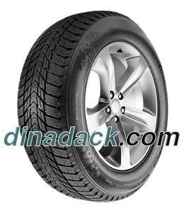 Roadstone Winguard Ice Plus