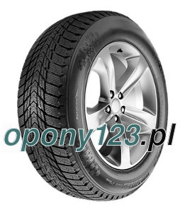 Roadstone Winguard Ice Plus