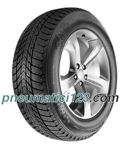 Roadstone Winguard Ice Plus