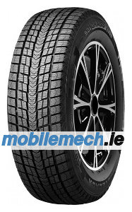 Roadstone Winguard Ice SUV