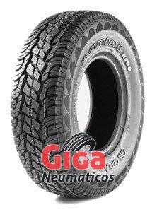 Rotalla Setula A-Race RF06