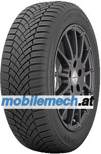 Toyo Observe EWS1