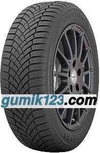 Toyo Observe EWS1
